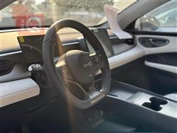 بي واي دي سيل 06 DM-i